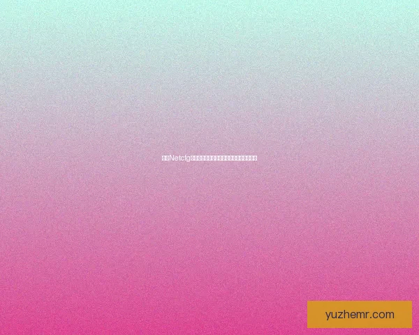 基于Netcfg工具的网络配置管理与自动化优化实践分析